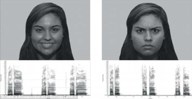 A vetített emberi arckifejezések és a hozzájuk tartozó hangok