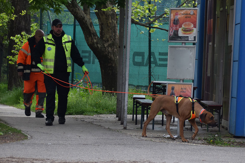 Janovszky Gergely és kutyája, Zuvan munka közben
