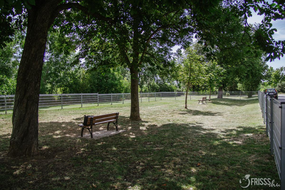 Kutyafuttató Szombathelyen - 11-es Huszár út ltp