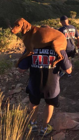 Ruet Tony Stowe hozta le a hegyről