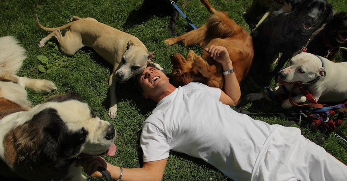 Magyar származású kutyatréner a floridai neveletlen ebek megmentője