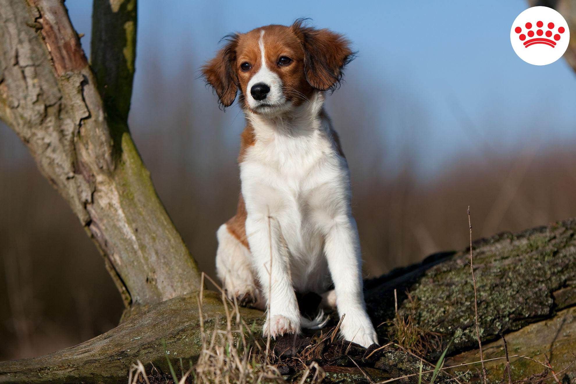 A hosszú tél után minden két- és négylábú vágyik ki a természetbe