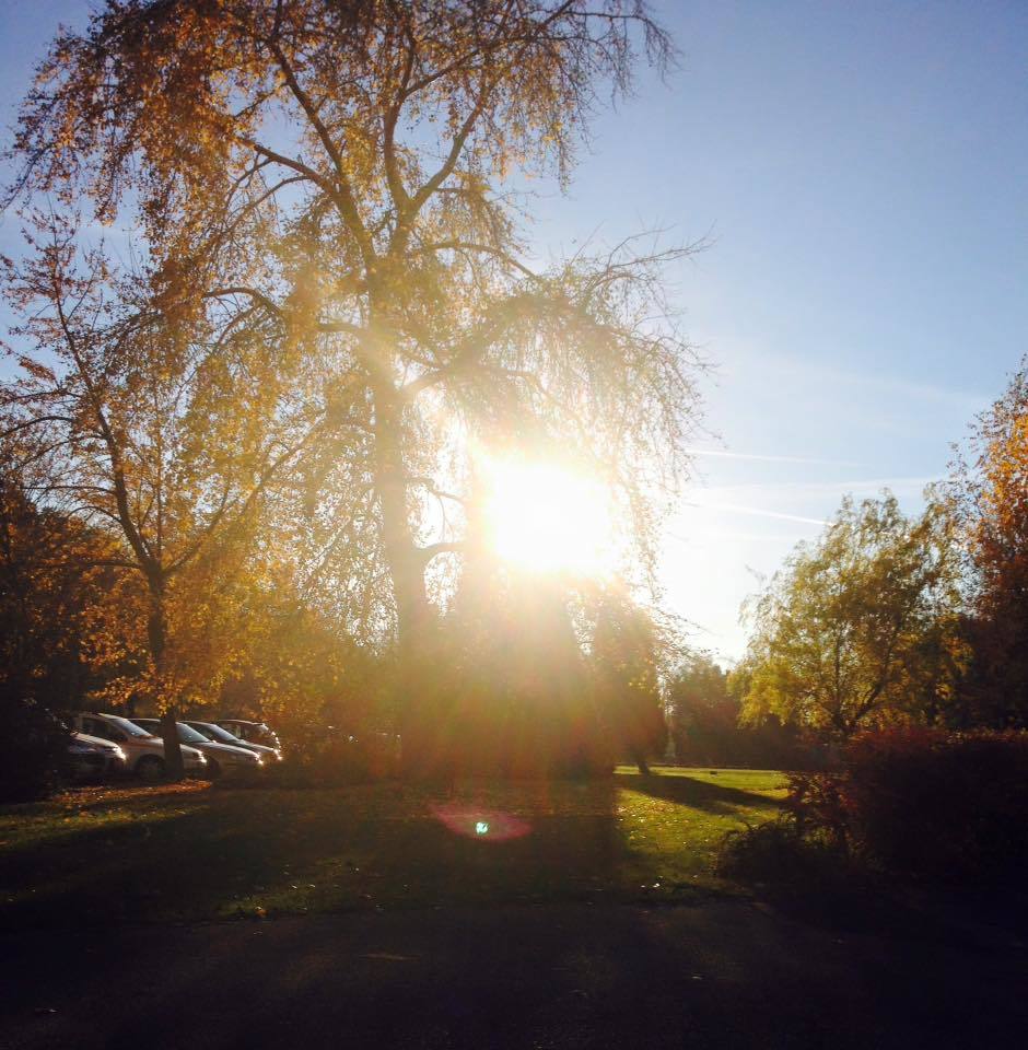 A Hotel Három Hattyú gyönyörű ősszel is - a kutyák kedvükre szaladhatnak, játszhatnak!