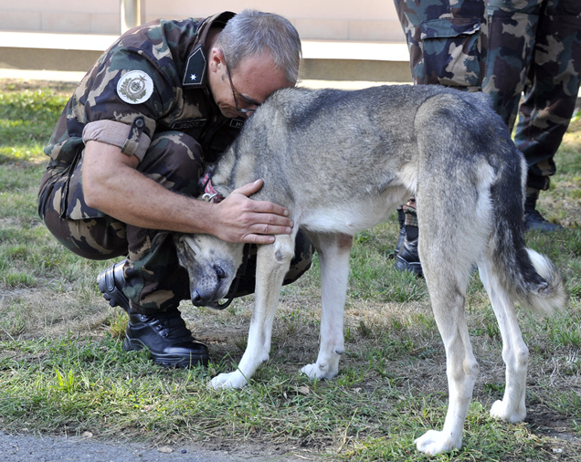 Mónikát, a befogadott kóbor kutyát nagyon megszerették a katonák