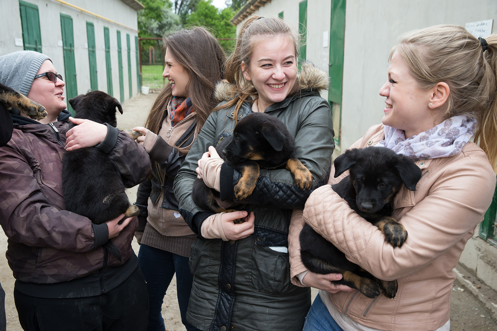 A baritsták és a gazdikereső kutyák is jól érezték magukat