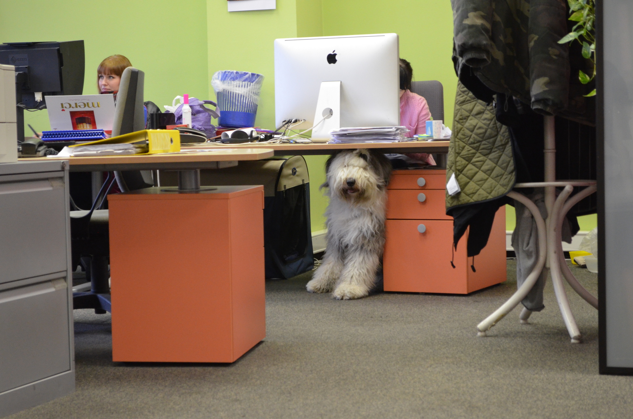 Egy nagyobb kutya is tud türelmes lenni
