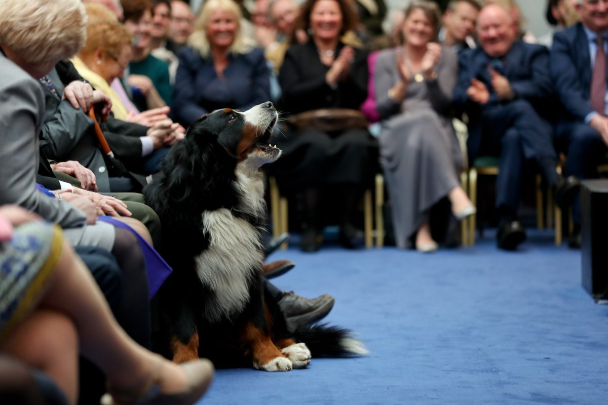 Néha a miniszterelnök kutyái is szót kérnek...