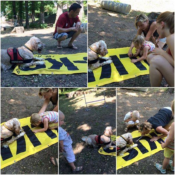 Éva és Sonja, a terápiás kutya munka közben