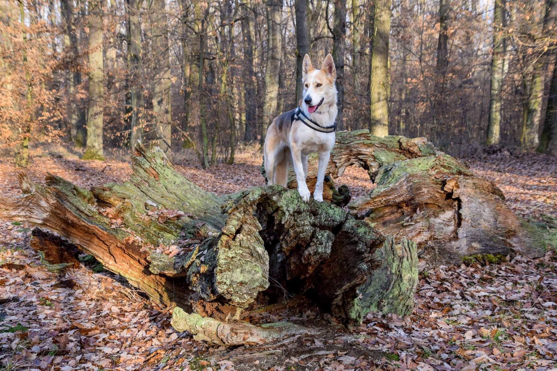 Az új és jól megszokott kiránduló helyszínek is nyújtanak friss élményeket, izgalmakat