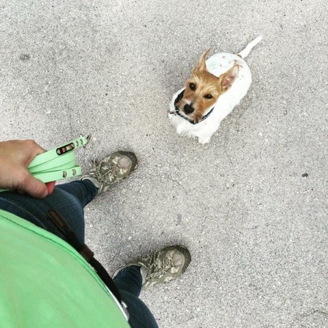 Összeöltözve a Gazdival. Vagy fordítva?