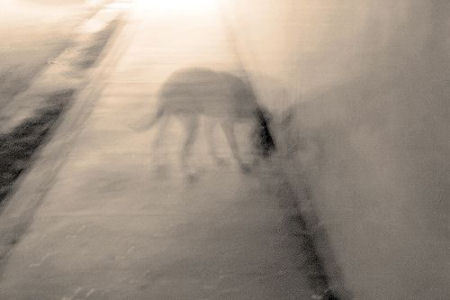 Vajon léteznek egyáltalán?