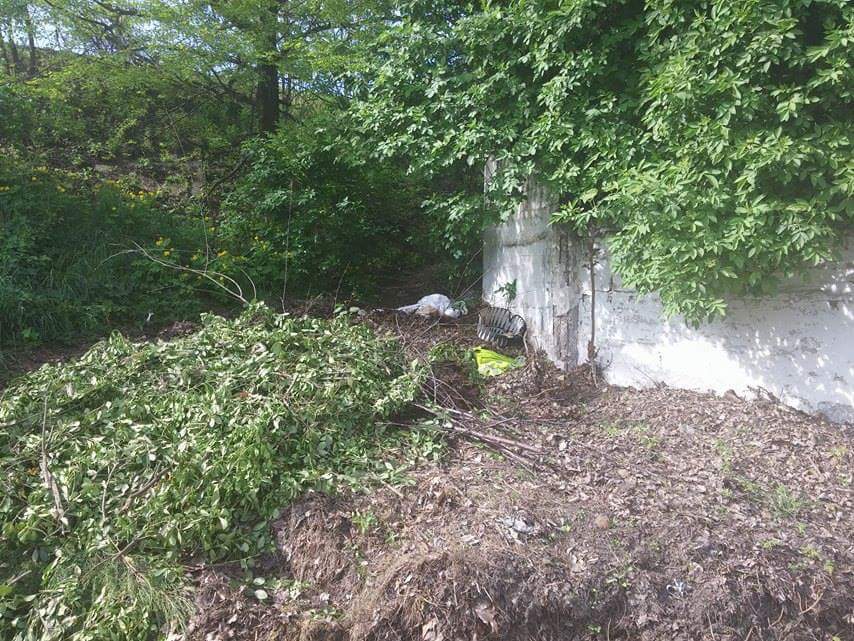 A Zuch utcai kutyafuttatón találták meg 