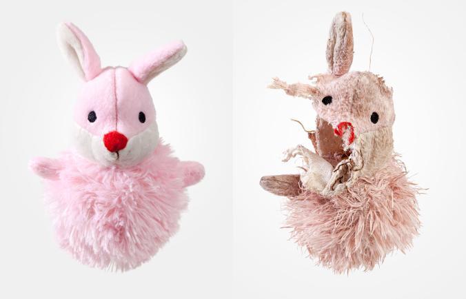 Anniet, a mentett terriert túl korán választották el korábbi tulajdonosai az anyjától, így megmaradt benne a rágcsálás, szopás megnyugtató szokása. Így is játszik, sőt, ezekkel a játékaival alszik, velük érzi magát biztonságban. 