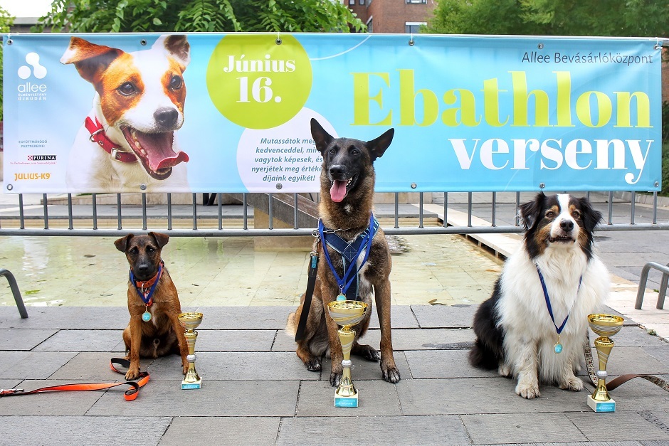 Az Ebathlon verseny dobogósai