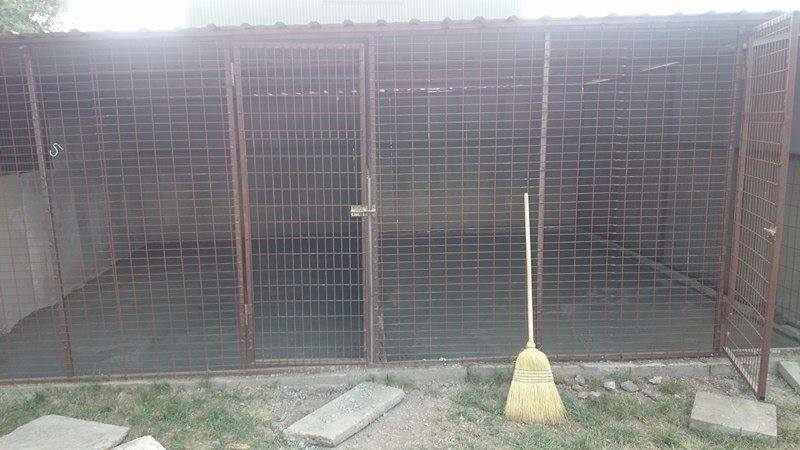A frissen elkészült kennel