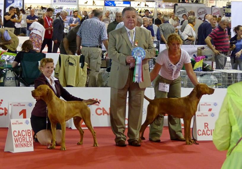 Magasparti Rutinos Adu