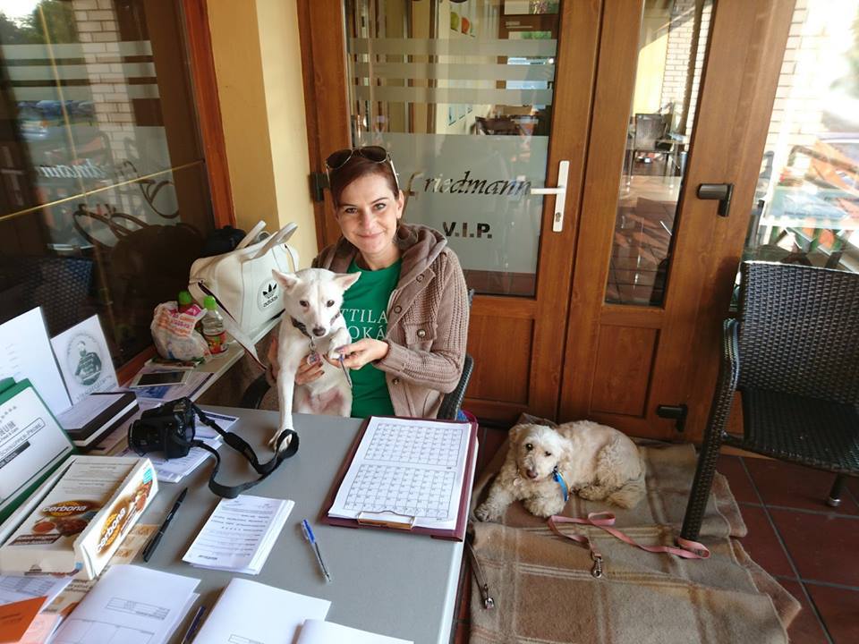 Már a regisztráció is kutyás volt!