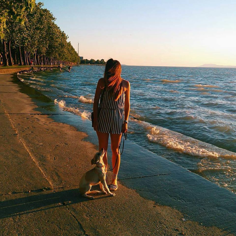 Kutyaséta a Balaton egyik oldalán...
