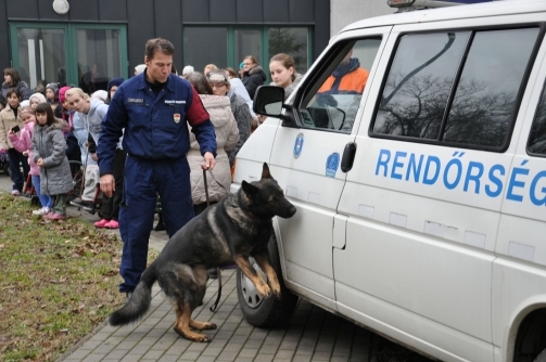 Jack, a rendőrkutya könnyedén megtalálta az elrejtett kábítószer-mintát