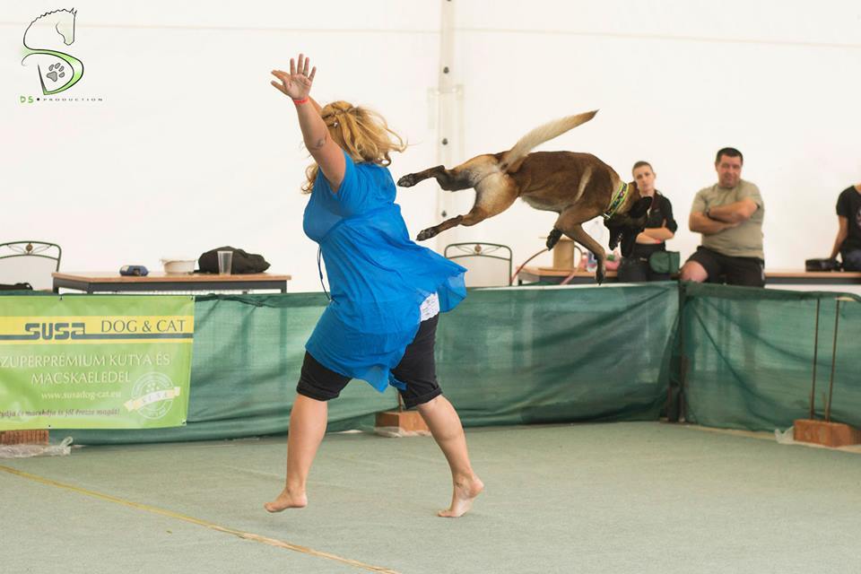 Kűr közben az I. Holdfény Dog Dancing Kupán