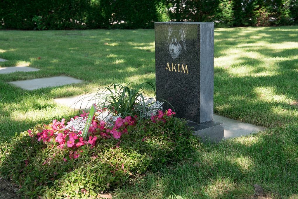 Egymás mellé temethetik a gazdikat a kedvenceikkel