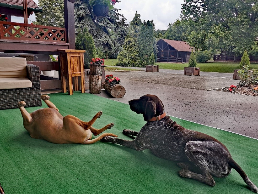 Pindúr és Udo, a szálloda két rosszcsont ’dolgozója’ már alig várja a nyitást!