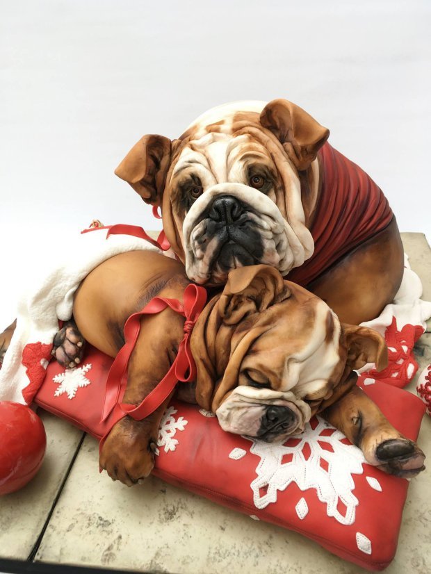 Angol bulldog - torta