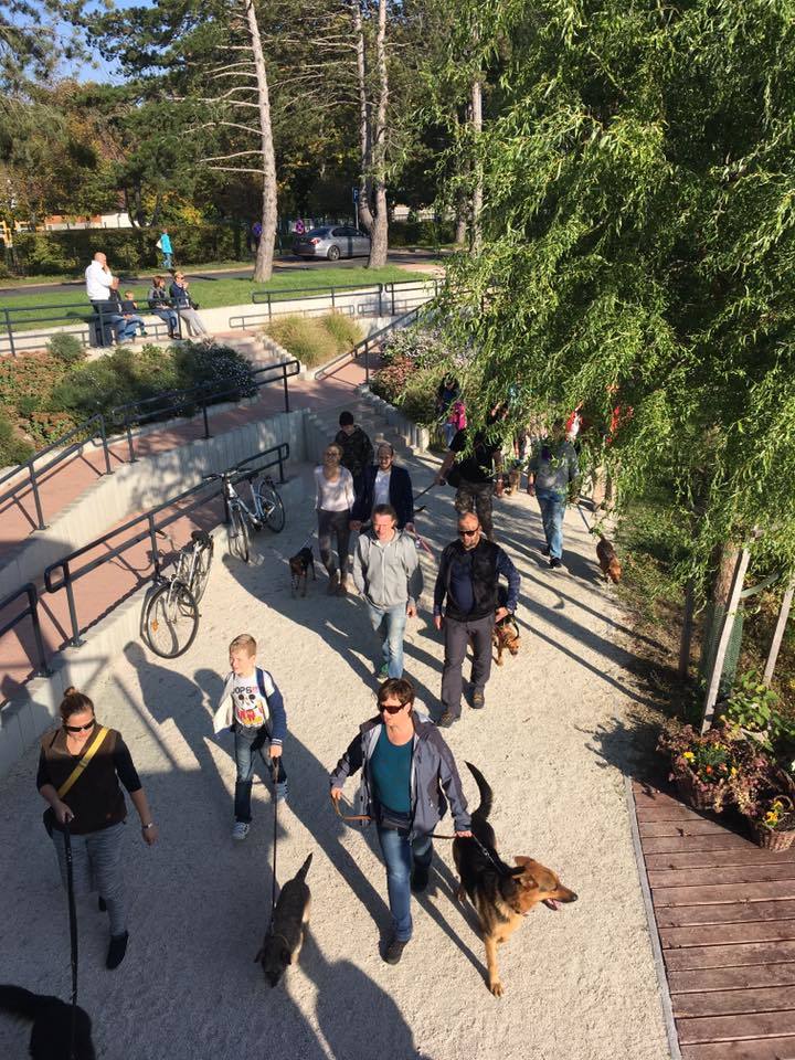 Közös séta a Csónakázó-tó körül