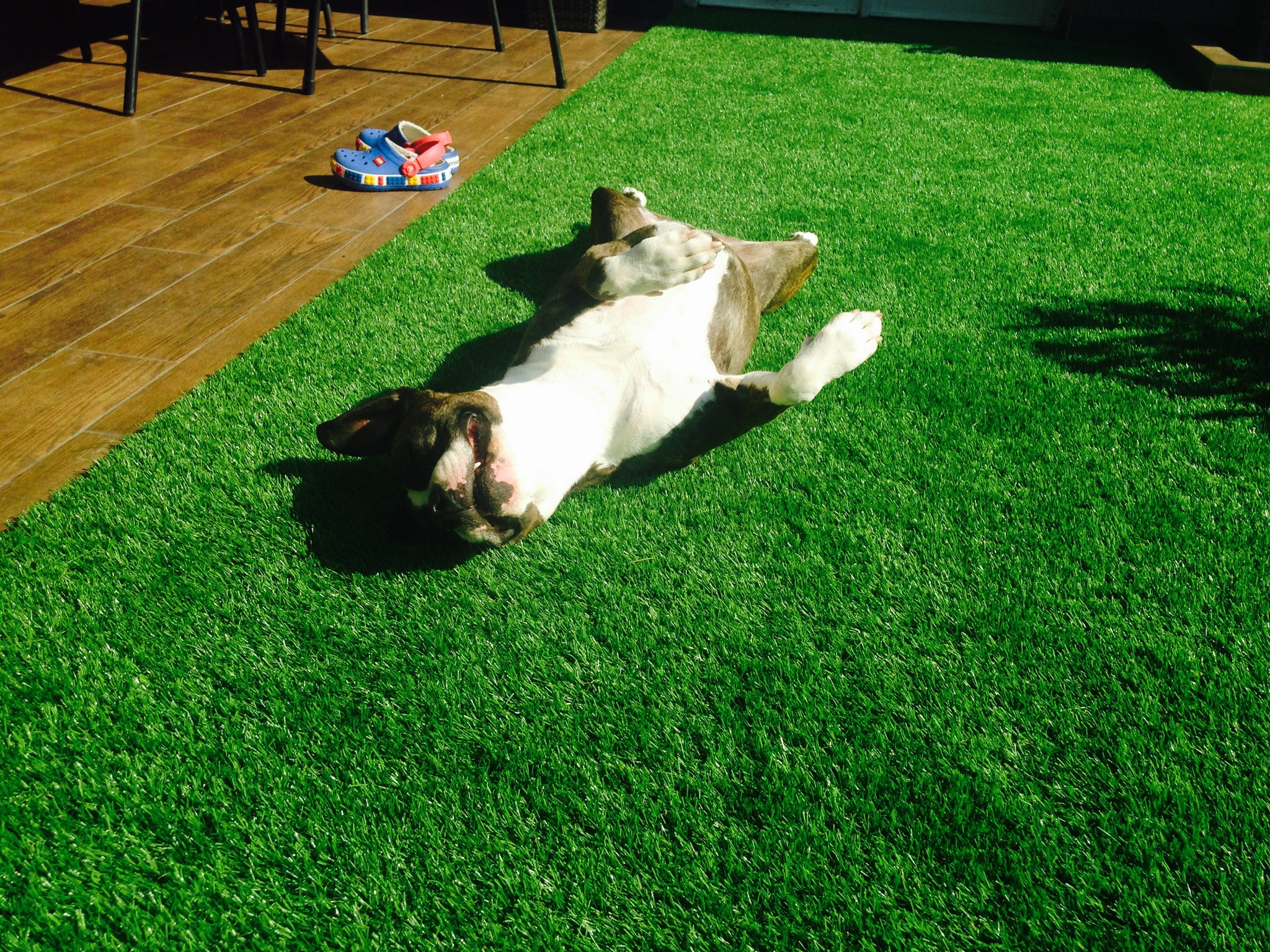 Miért ne lehetne a teraszon vagy épp az erkélyen is gyönyörű zöld fű?