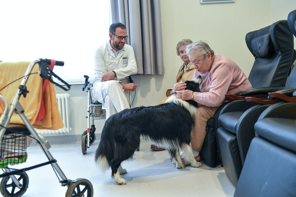 A kutyák nagyon jó hatással vannak az egészségre, így a gyógyulásra is