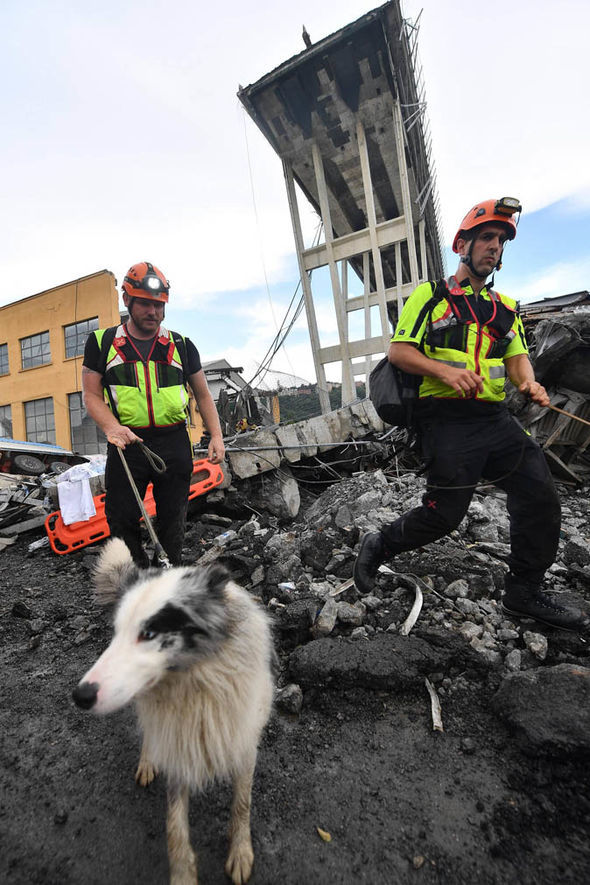 Kiváló szaglásuknak hála a mélyen a romok alá temetett túlélőket is megtalálják