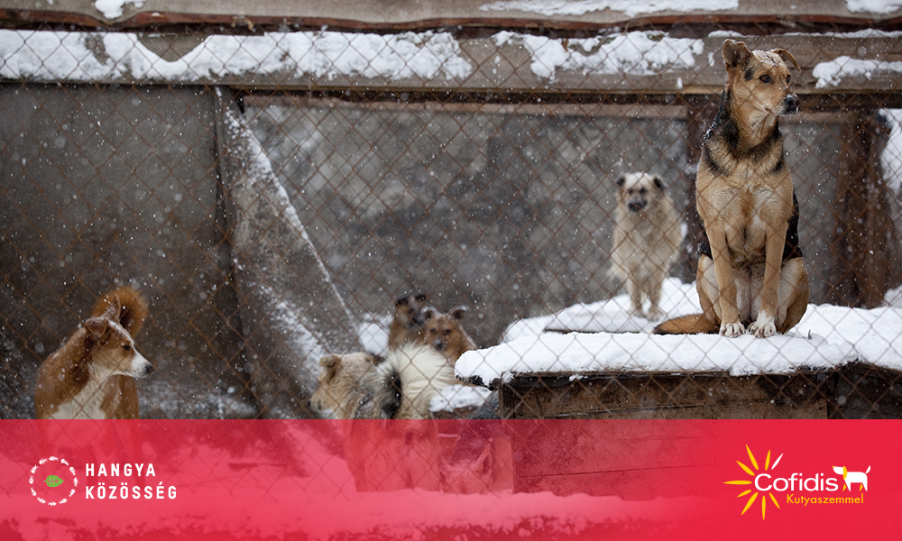 A Black Friday után itt az Adakozó Kedd 