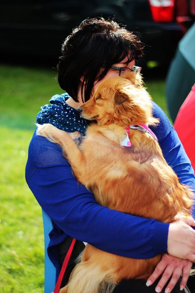 Nym, a vak kutya és gazdája elválaszthatatlanok