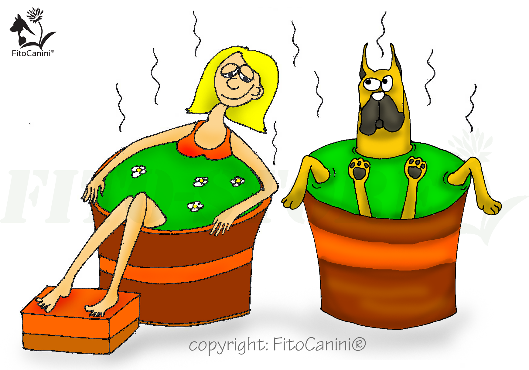 Gyógynövényes fürdő átfagyott kutyánknak?