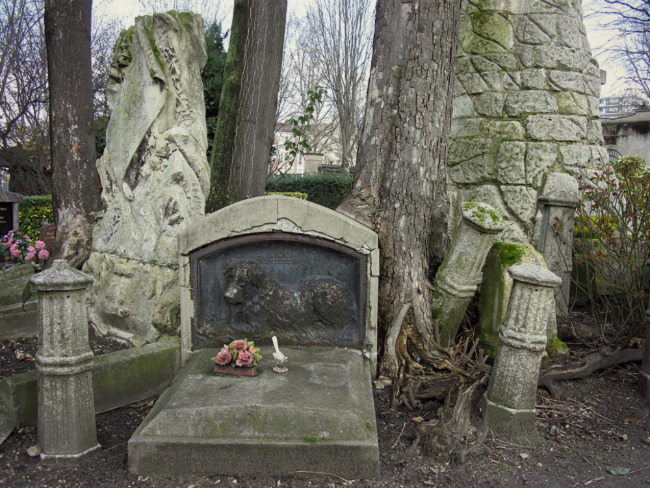 Emlék a szeretett kedvencnek