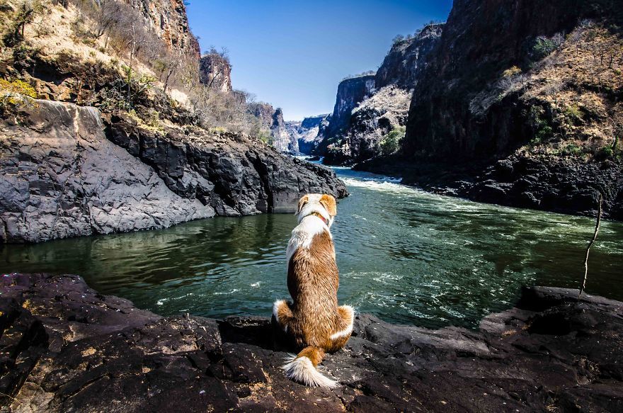 Vad vizeket is láttak gazdáival Vad vizeket is láttak gazdáival