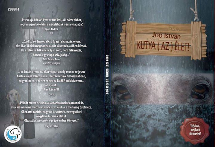 A könyv borítója és az ajánlások