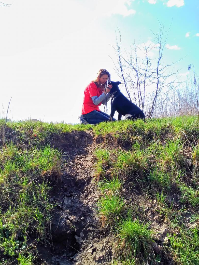 Kovács Katalin állatmentő