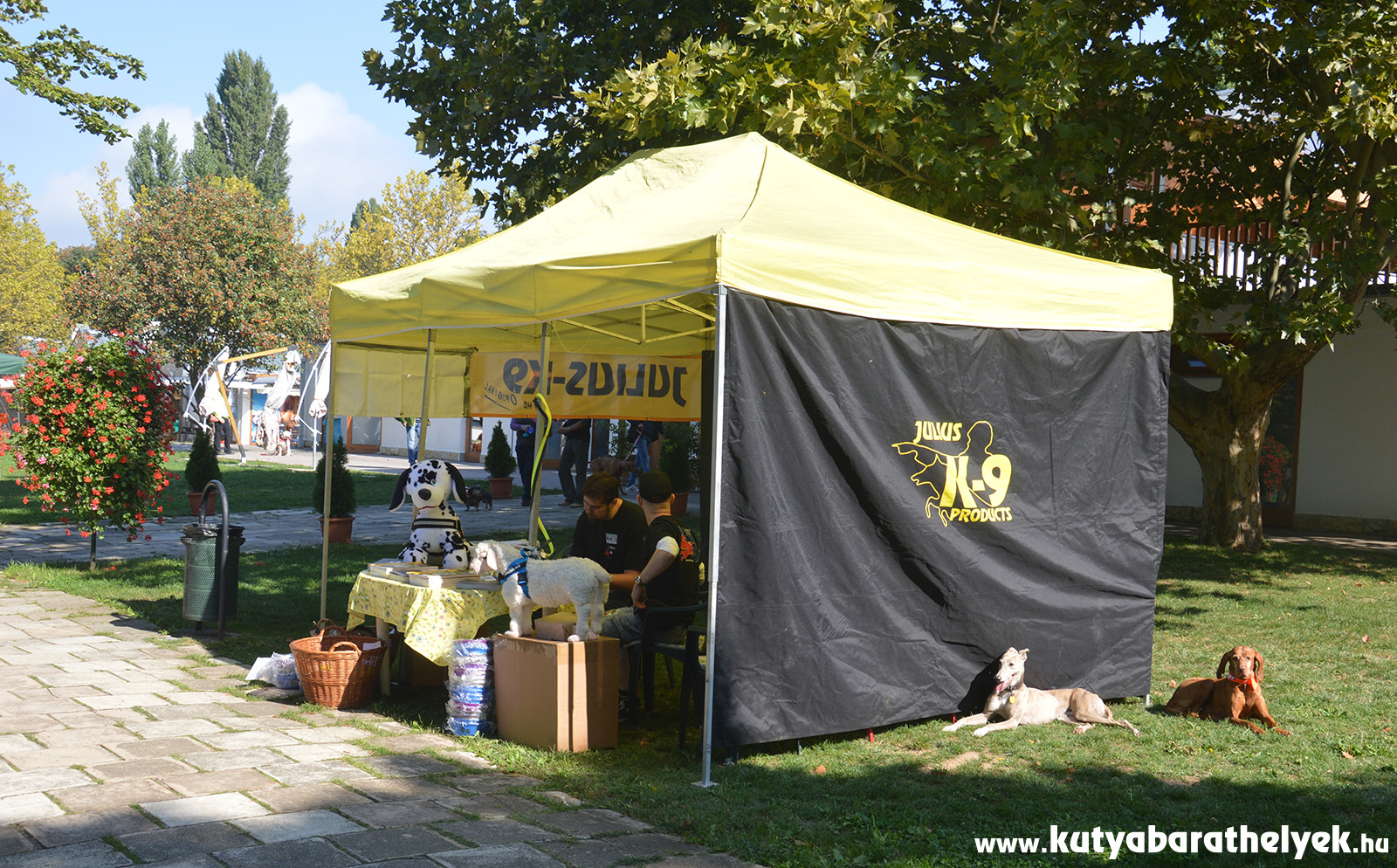 Kála és Füles - Napozás a Julius-K9 sátránál