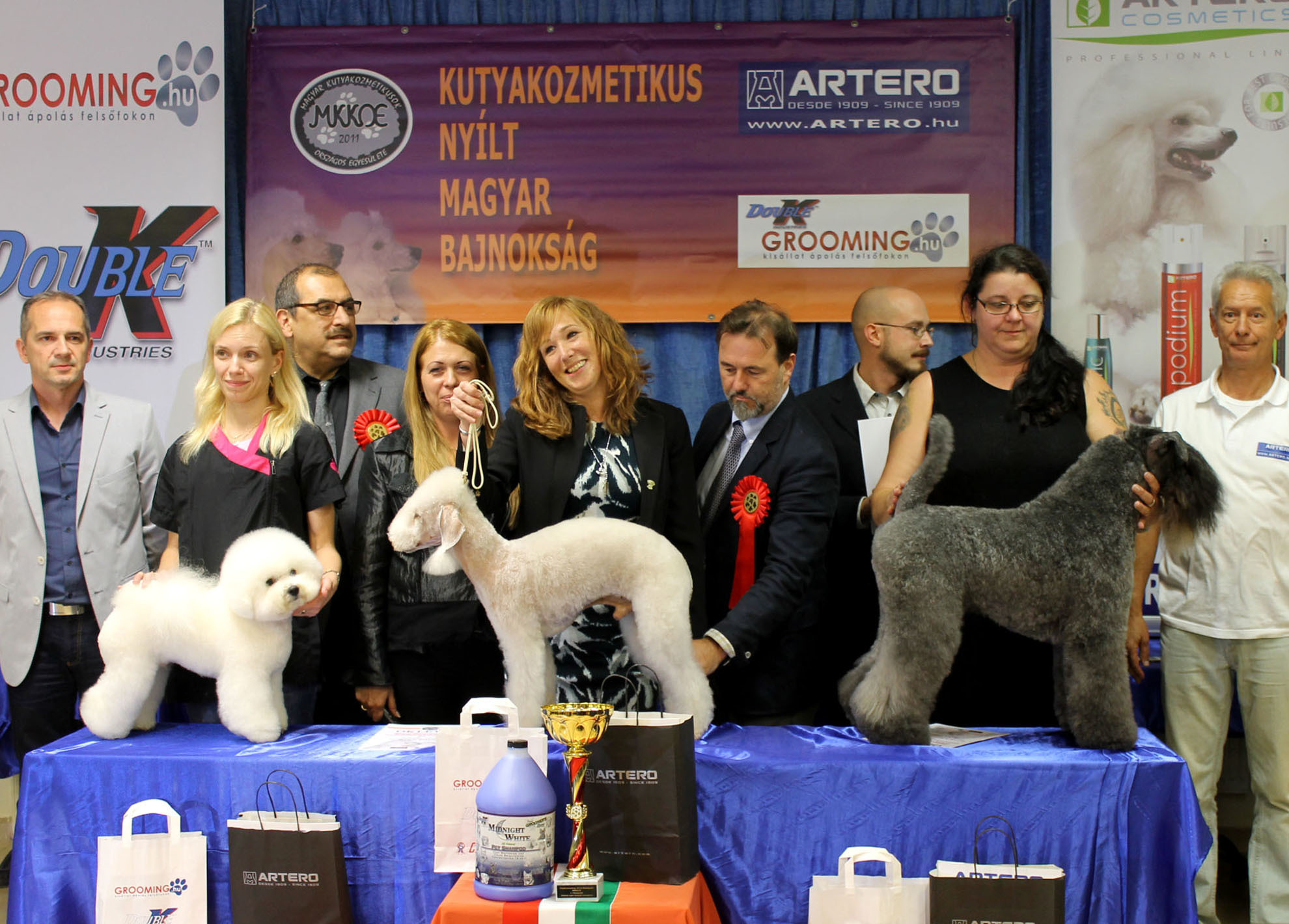 Ők lettek a Fajtatiszta kutya ollóval nyírása -kategória győztesei