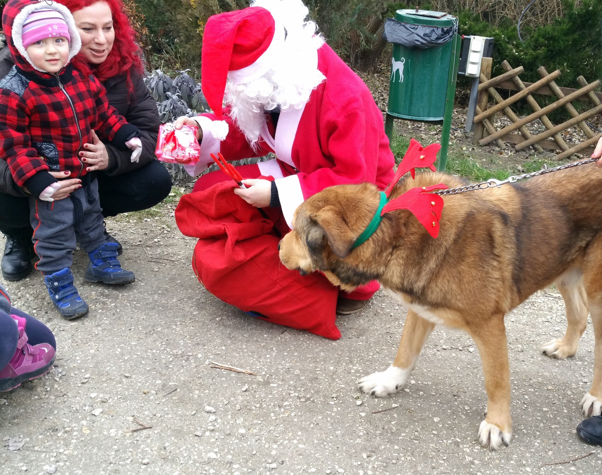A Mikulás zsákjából mindenkinek jutott valami