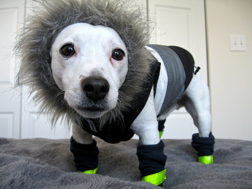 Csak a sós utak esetén van szükségük csizmára