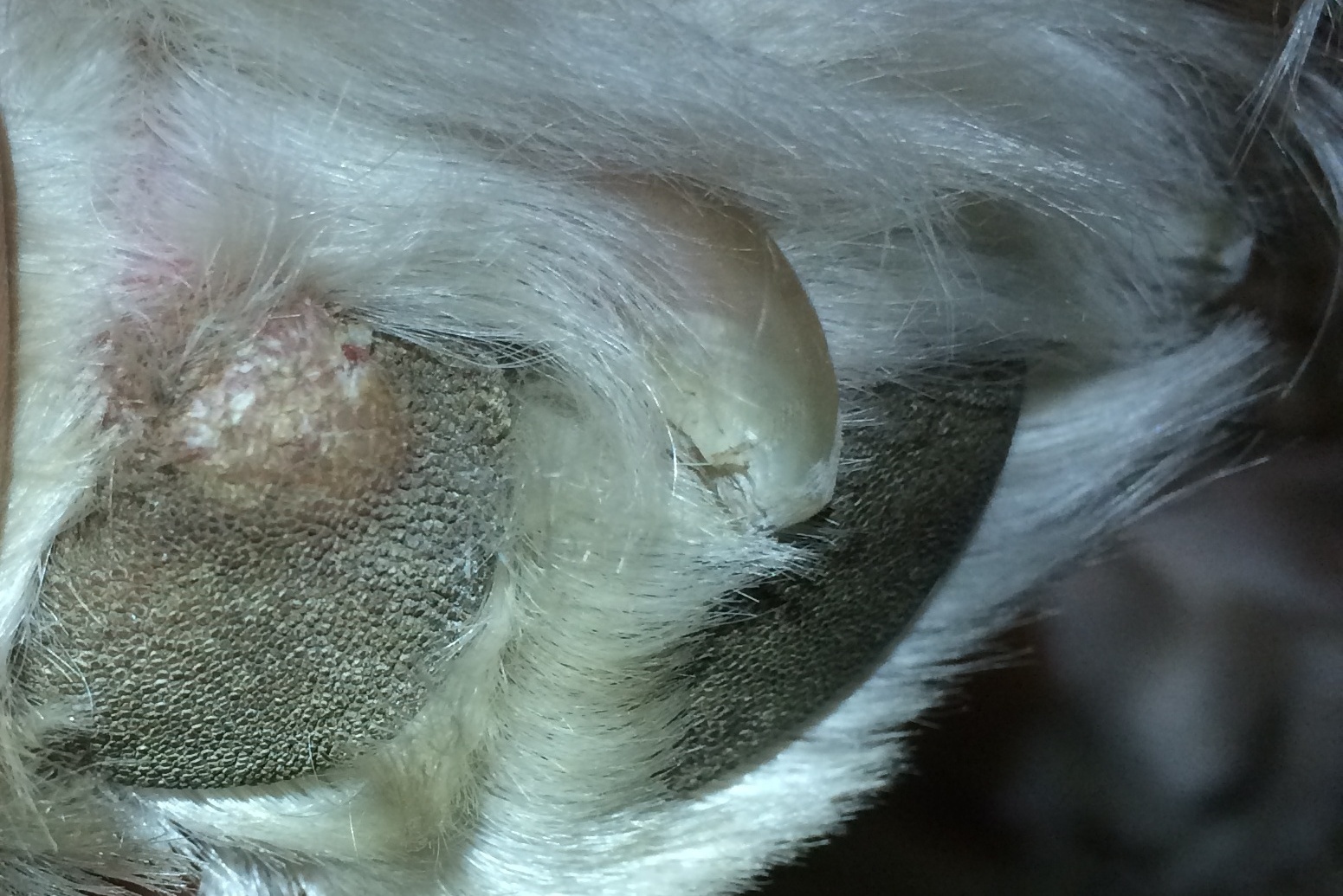 Olykor nehéz észrevenni az elváltozásokat