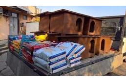 Különleges ajándék a menhelynek: esküvőn adakozott a násznép