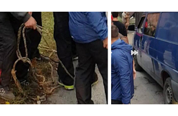 Állatkínzás Borsodban: mást állít a rendőrség és mást a szemtanúk