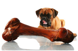 Csontot a rosszcsont ebeknek!