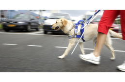 Vakvezető ABC – Sz, mint szakszerű S, mint segítség