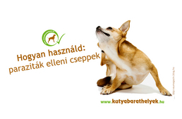 Cseppekkel a paraziták ellen