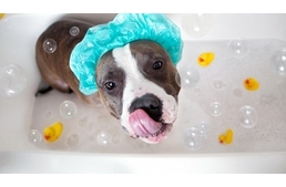 6 tipp a megfelelő fürdetéshez