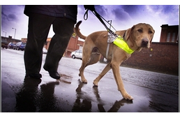 Vakvezető ABC – T, mint tévhitek